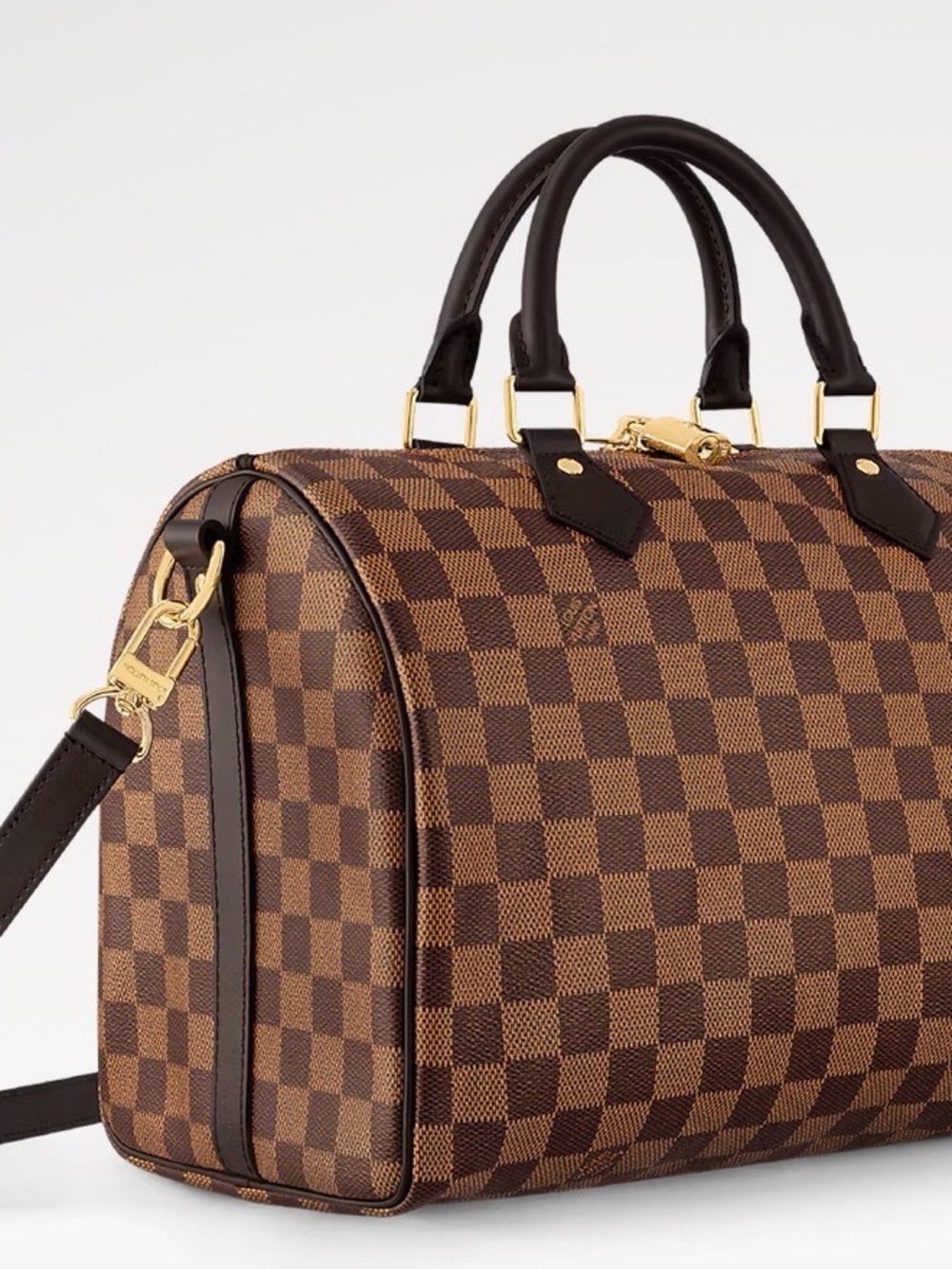 Louis Vuitton Brown Damier Ebene Speedy Bandoulière